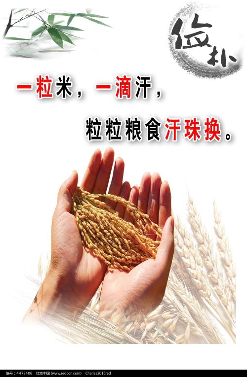 考acca证书的通过率是多少